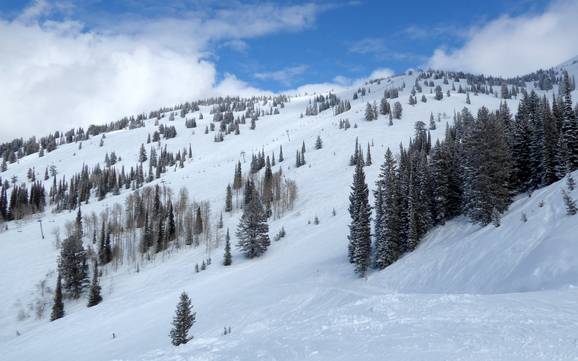 Beste skigebied in de Teton Range – Beoordeling Grand Targhee