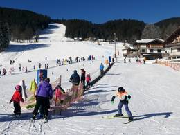 Fredyband III (Fredy-Land)