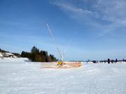 Lanzenbesneeuwing in Eschach bij de Schwärzenliften