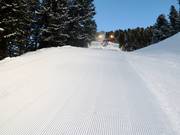 Pistenbully aan het werk