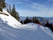 Afdaling Dosso Larici