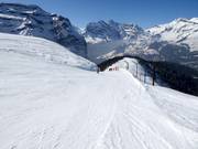 Lauberhorn-Wereldbeker afdaling