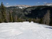 Typische bosafdaling in Winter Park