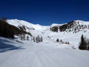 Tussen Grosseck en Speiereck