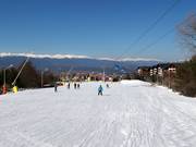 Zeer gemakkelijke dalafdaling Ski road №1