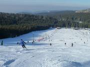 Skipiste bij de Mehliskopf