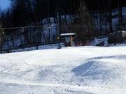 Kehlsteinlift - Sleeplift met T-beugel/Ankerlift