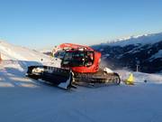 Elke avond gaan de pistebully’s op pad