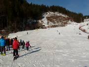 Oefenweide bij het dalstation in Lofer