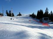 De gemakkelijke piste bij de Greenway Chair