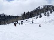 Makkelijke piste bij de stoeltjeslift Link