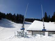 Lanzenbesneeuwing bij de Notschrei