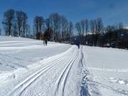 Loipe in Ramsau am Dachstein