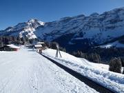 Tapis Mazots - Transportband/Moving Carpet