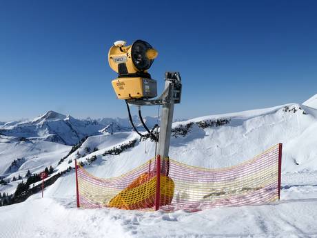 Sneeuwzekerheid Bregenzer Woud – Sneeuwzekerheid Damüls Mellau