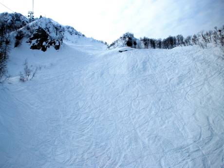 Skigebieden voor gevorderden en off-piste skiërs Krasnaja Poljana (Sotschi) – Gevorderden, off-piste skiërs Rosa Khutor