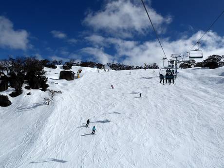 Pisteaanbod Snowy Mountains – Pisteaanbod Perisher