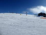 Lichte en brede piste bij de Wallerlift Monte Gogo