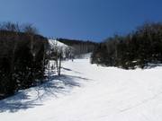 Typische bosweideafdaling