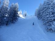 Moeilijke piste bij de Roßleitenbahn