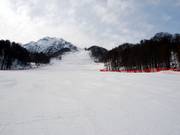 Perfect geschikt voor snel carven: Ozernaya