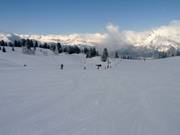 Gemakkelijke piste Chamois