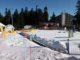 Borovets