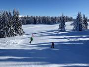 Hirschboden-afdaling