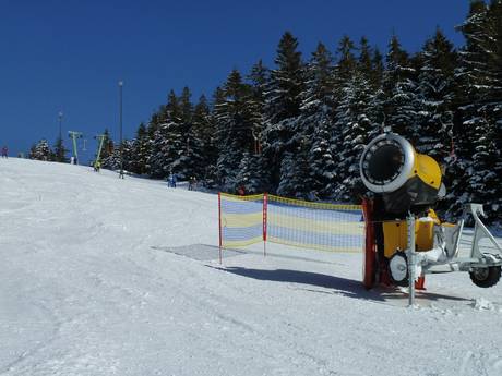 Sneeuwzekerheid Rastatt – Sneeuwzekerheid Hundseck – Bühlertallifte