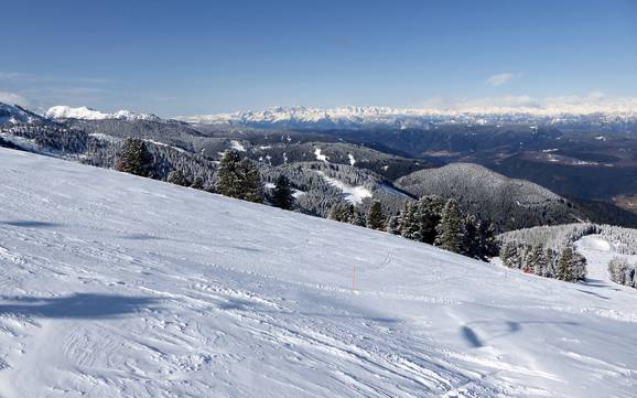 Grootste hoogteverschil in de Fleimstaler Alpen – skigebied Alpe Cermis – Cavalese