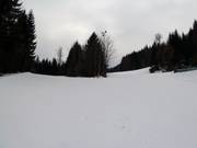 Familie-Kogelafdaling