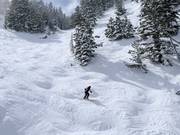 Steile pistes bij de stoeltjeslift Summit Express