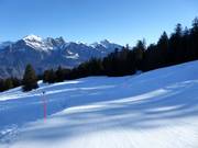 Gemakkelijke piste Mittelsäss