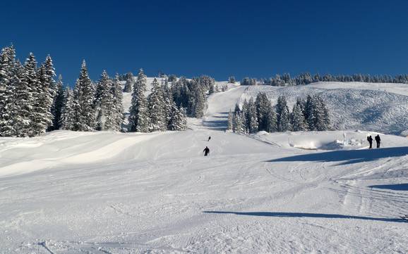 Bodensee-Vorarlberg: Grootte van de skigebieden – Grootte Laterns – Gapfohl