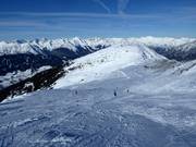 Gemakkelijke familie-afdaling