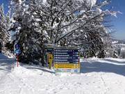 Overzichtelijke wegwijzers