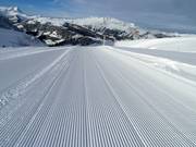 Verse ribbels in de sneeuw