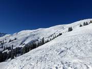 Uitgestrekt off-piste terrein bij de Hornbahn 2000