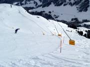 Lanzenbesneeuwing in Adelboden