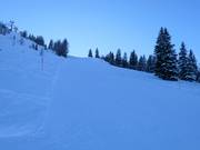 Zwarte piste Lärchenhang