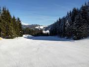 Makkelijke dalafdaling naar Radstadt