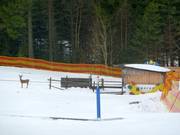 Babylift Geissleinpark I - Sleeplift/babyllift