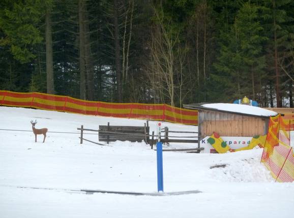 Babylift Geissleinpark I Babylift Geissleinpark I