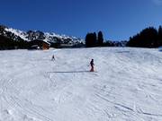 Beginnerspiste Rosenalm/Plattenangerlift (Zell am Ziller)