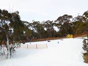 Oefenterrein The Magic Forest aan de Bourke Street