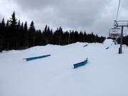 MSA XL Snowpark