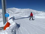 Gemakkelijke piste Kircherlhang