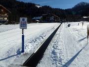 Hexenteppich - Transportband/Moving Carpet