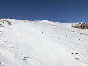 Gemakkelijke piste nr. 15