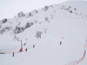 Coq de Bruyères - Pannenkoeklift